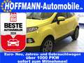 Ford EcoSport Titanium Sitzheizung,Allwetterreifen Auriu - thumbnail 1