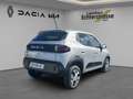 Dacia Spring Electric 45 Expression +KAM+NAVI Grau - thumbnail 9