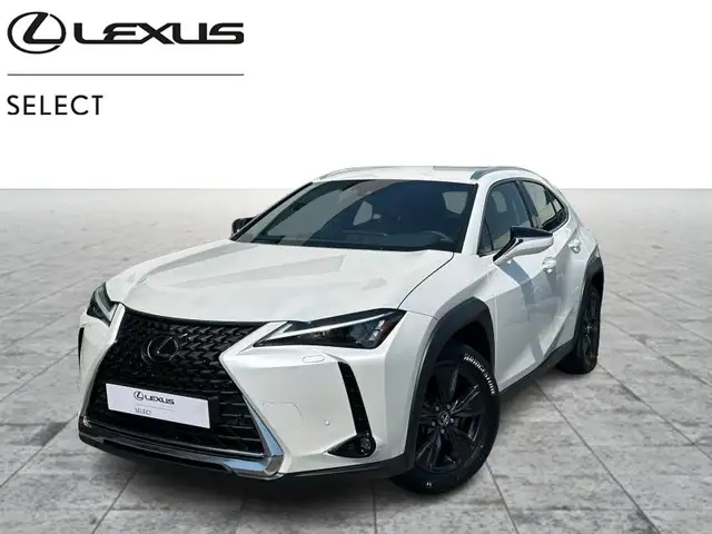 Lexus UX 250h Business Line
