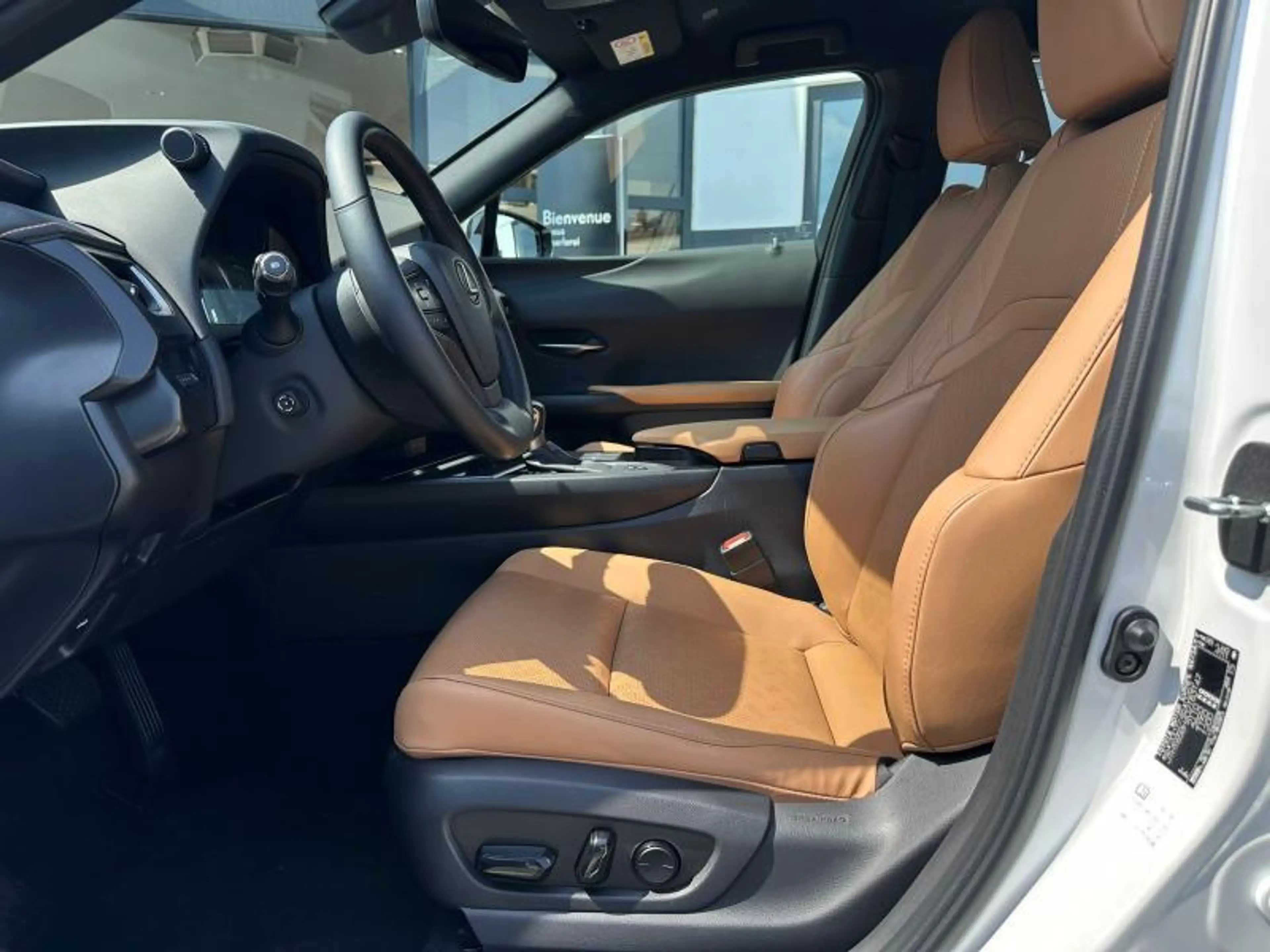 Lexus UX 250h Business Line — photo 14