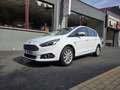 Ford S-Max S-Max 2.0 EcoBlue Aut. Titanium Blanc - thumbnail 1