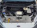 Ford S-Max S-Max 2.0 EcoBlue Aut. Titanium Blanc - thumbnail 10