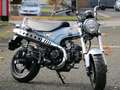Honda DAX ST 125 mit Tageszulassung 2024 Aktion Gris - thumbnail 3