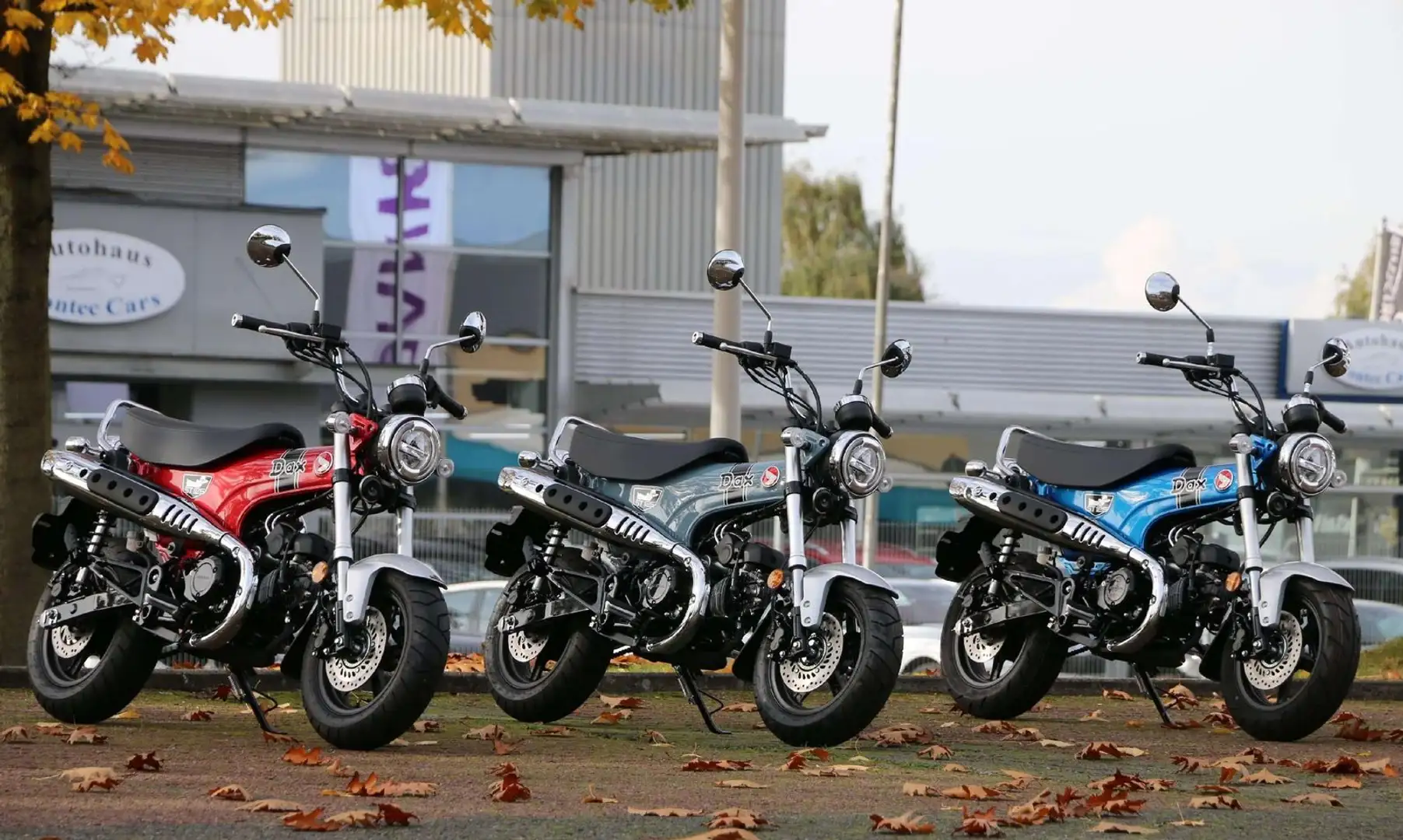 Honda DAX ST 125 mit Tageszulassung 2024 Aktion Grau - 1