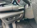 Opel Insignia GS  2.0 CDTI VOLL''OPC''BOSE''20Zoll Noir - thumbnail 19
