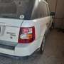 Land Rover Range Rover Sport Range Rover Sport 3.6 tdV8 HSE auto Bianco - thumbnail 8