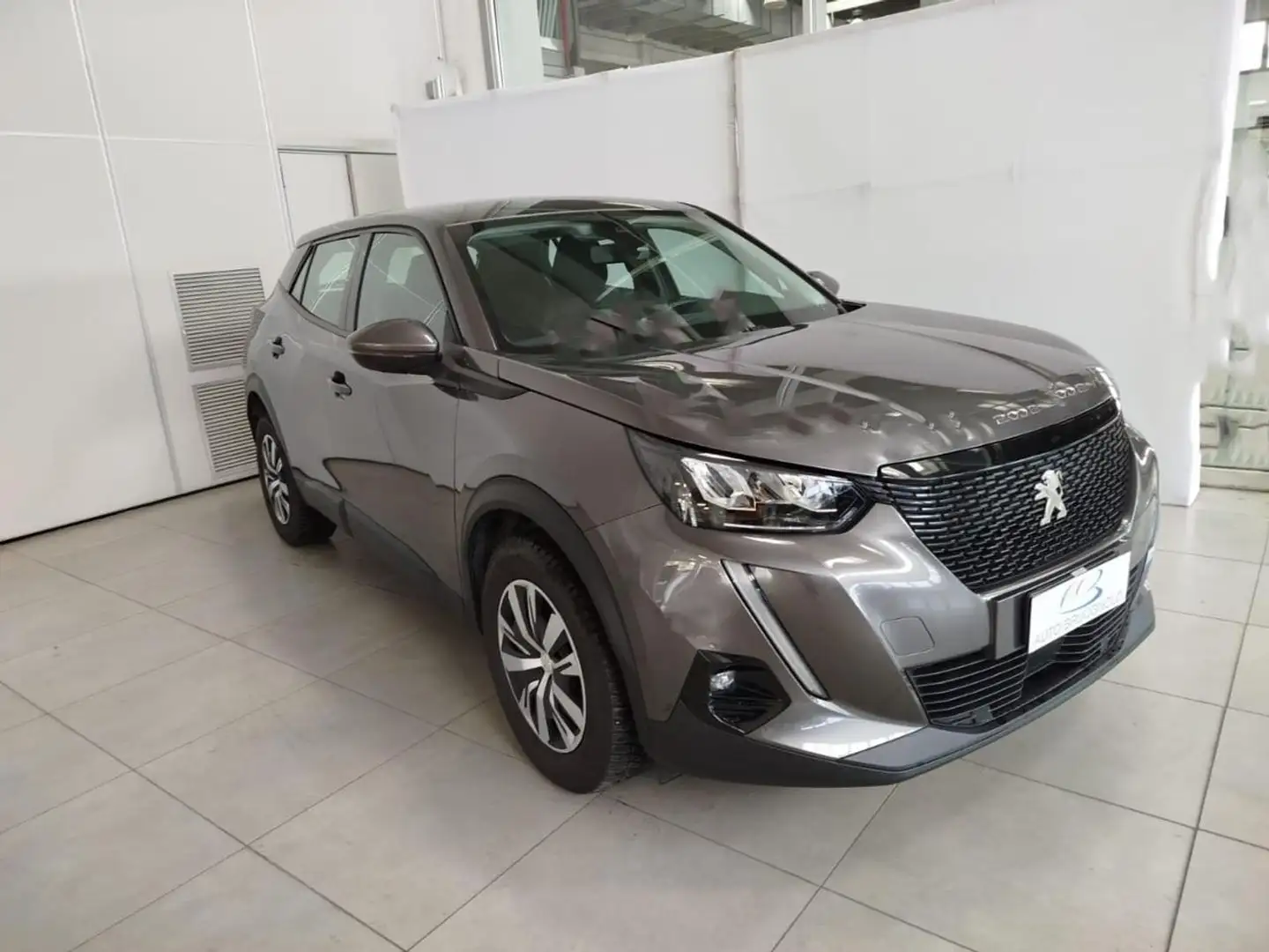 Peugeot 2008 BlueHDi 100 S&S Active Gris - 1