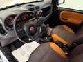 Fiat Panda 1.3 Multijet 16V 4x4 Rock Grau - thumbnail 10