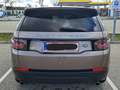 Land Rover Discovery Sport Discovery Sport 2,0 eD4 Pure e-Capability Pure Beige - thumbnail 10