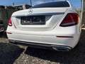 Mercedes-Benz E 220 E 220 d 4MATIC Avantgarde Aut. Avantgarde Weiß - thumbnail 7