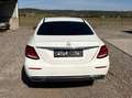 Mercedes-Benz E 220 E 220 d 4MATIC Avantgarde Aut. Avantgarde Weiß - thumbnail 6