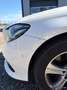 Mercedes-Benz E 220 E 220 d 4MATIC Avantgarde Aut. Avantgarde Weiß - thumbnail 20