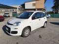Fiat Panda Panda 1.2 Easy 69cv E6 Blanc - thumbnail 8