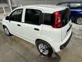 Fiat Panda 1.2 easypower Lounge Gpl 69cv Blanc - thumbnail 5