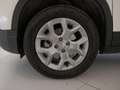 Jeep Avenger ICE Mhev My24 Altitude 1.2 100cv Dct Mhev - thumbnail 14