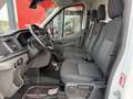 Ford Transit Kasten 2,0 EcoBlue L2H2 350 Trend Weiß - thumbnail 10