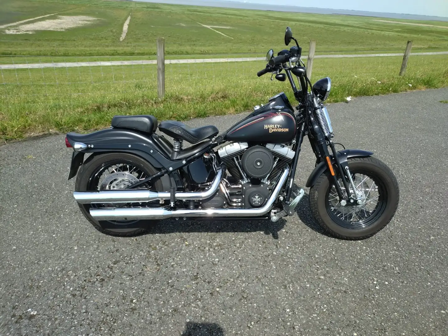 Harley-Davidson Cross Bones crna - 2