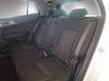 Kia Sportage SILBER 1.6 TGDI MT6 2WD 150 MY2 Weiß - thumbnail 16