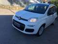 Fiat Panda 1.2 Easy Weiß - thumbnail 4