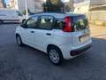 Fiat Panda 1.2 Easy Weiß - thumbnail 5