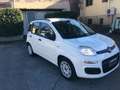 Fiat Panda 1.2 Easy Weiß - thumbnail 2