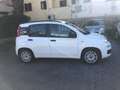 Fiat Panda 1.2 Easy Weiß - thumbnail 9