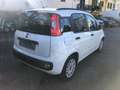 Fiat Panda 1.2 Easy Weiß - thumbnail 6