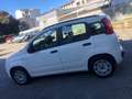 Fiat Panda 1.2 Easy Weiß - thumbnail 8