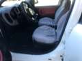Fiat Panda 1.2 Easy Weiß - thumbnail 13