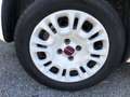 Fiat Panda 1.2 Easy Weiß - thumbnail 10