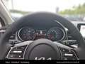 Kia XCeed /SILBER/1.0 TGDI/MT6/115/MY26 Schwarz - thumbnail 21