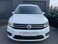 Volkswagen Caddy Comfortline+Klima+Navi+Allwetter+1.Hand+ Weiß - thumbnail 2