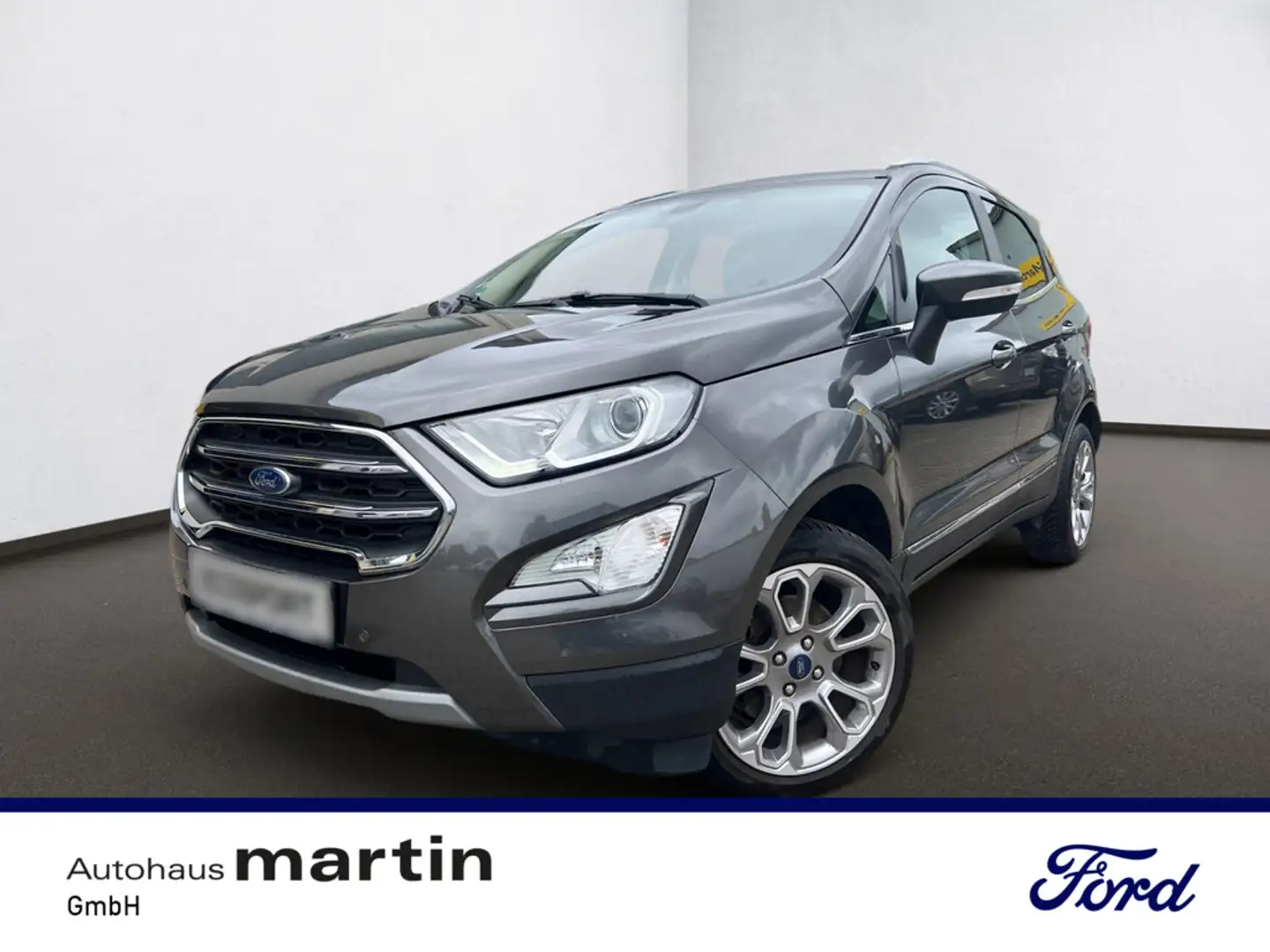 Ford EcoSport 1.0 EcoBoost Titanium X Start/Stopp EURO Gris - 1