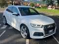 Audi Q5 Q5 2.0 tdi quattro S Line Bianco - thumbnail 3