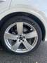 Audi Q5 Q5 2.0 tdi quattro S Line Bianco - thumbnail 8