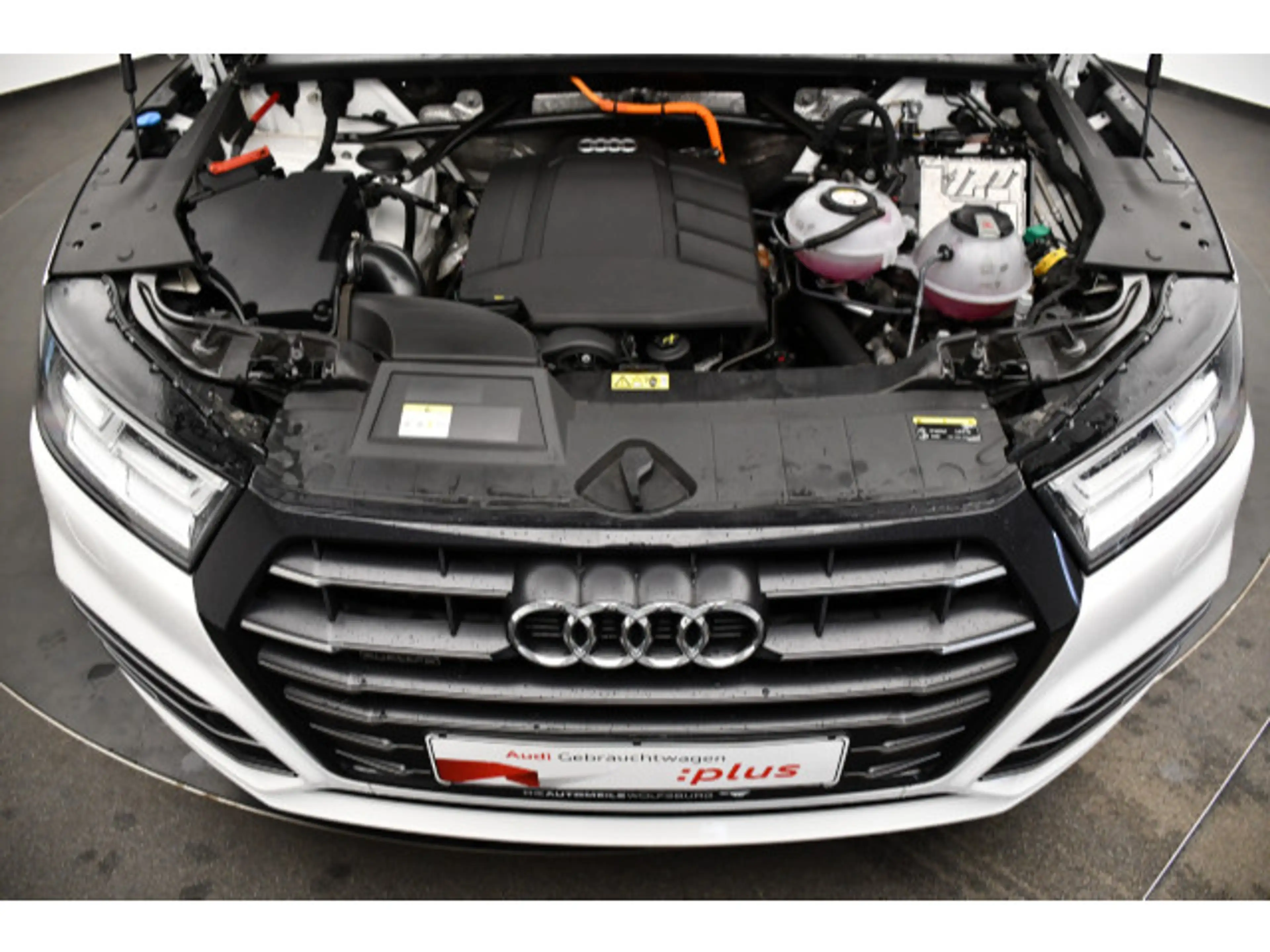 Audi Q5 55 TFSIe S-tronic quattro Pano/Tempo/Einparkh — photo 14