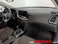 Kia XCeed 1,5 TGDI Gold Schwarz - thumbnail 19