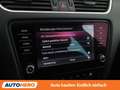 Skoda Octavia 2.0 TDI Scout 4x4 Weiß - thumbnail 24