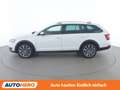 Skoda Octavia 2.0 TDI Scout 4x4 Weiß - thumbnail 3