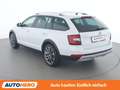Skoda Octavia 2.0 TDI Scout 4x4 Weiß - thumbnail 4