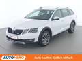 Skoda Octavia 2.0 TDI Scout 4x4 Weiß - thumbnail 1