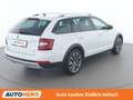Skoda Octavia 2.0 TDI Scout 4x4 Weiß - thumbnail 6