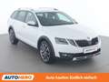Skoda Octavia 2.0 TDI Scout 4x4 Weiß - thumbnail 8