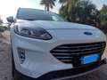 Ford Kuga Kuga III 2020 1.5 ecoboost Titanium X 2wd 150cv bijela - thumbnail 1