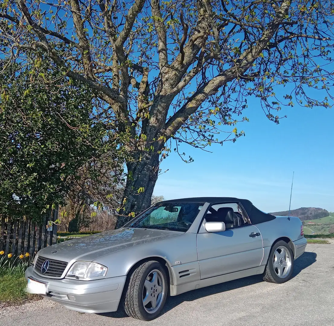 Mercedes-Benz SL 320 Roadster Aut. Silber - 1