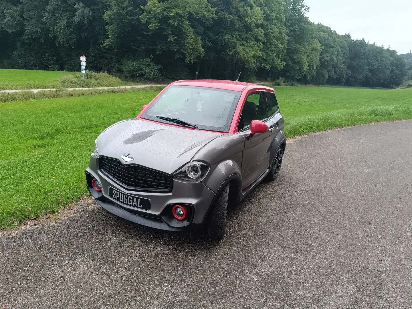 Chatenet CH 46 Red Line grau Grau - 1