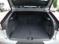 Volvo C40 Recharge Plus Twin Motor/BLIS/Kamera/Lenkhz. Grijs - thumbnail 15