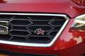 SEAT Arona 1.5 TSI EVO FR Business Intense NAVI/CARPLAY/CRUIS Rosso - thumbnail 5