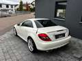 Mercedes-Benz SLK 280 Roadster Automatik Weiß - thumbnail 16