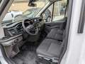 Iveco Daily TRANSIT 350 2.0 170CV RWD PM-RG   ribaltabile Bianco - thumbnail 12